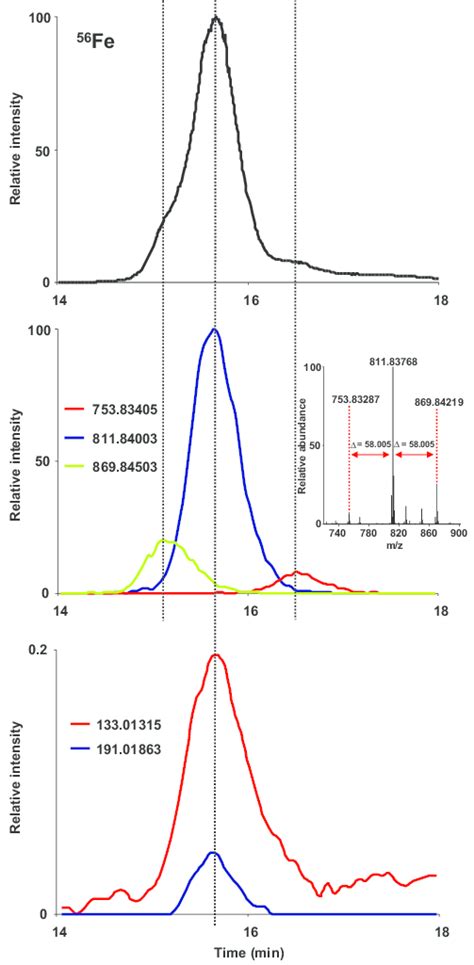 Sec Icp Ms Top Sec Esi Ms Middle And Sec Esi Ms After Post Column Download Scientific