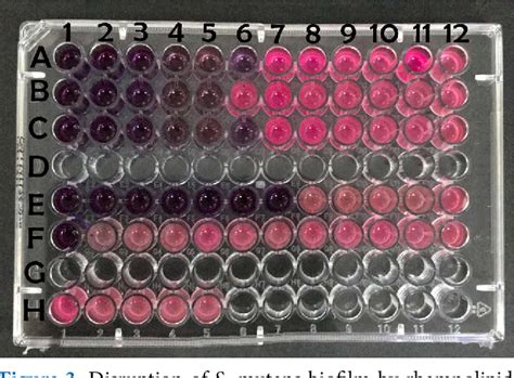 Figure 3 from Disruption of Streptococcus mutans Biofilm by Rhamnolipid ...