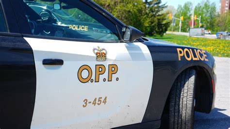 Guelph Reporter Questions Overreach Of Authority After Opp Officer