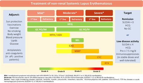 SLE - CNUH.Rheumatology