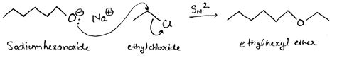 Solved Show How Ethyl Hexyl Ether Might Be Prepared By A Williamson