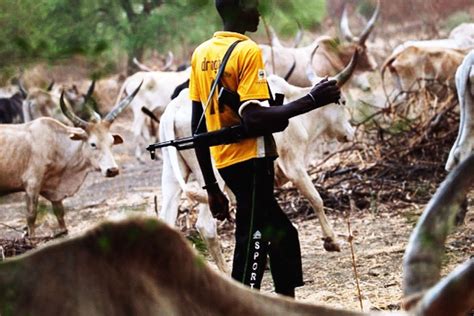 Farmers In Benue Sue Fulani Herdsmen For N Billion For Destroying