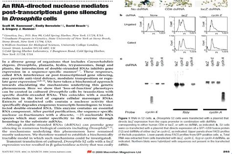 生化与分子生物学前沿 非编码rnaword文档在线阅读与下载无忧文档