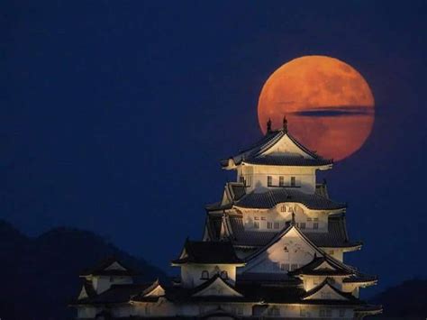 Japan(日本),Samurai(侍) & Life( 生活 ) — Castle at night