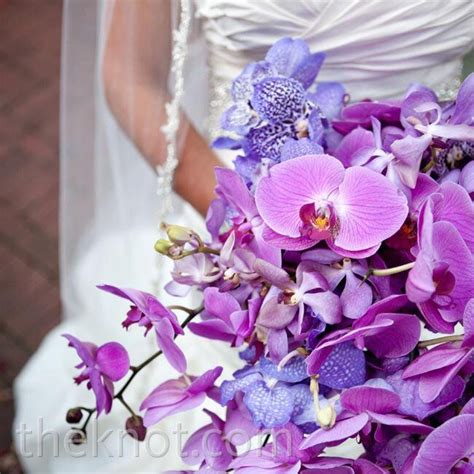 Purple Orchid Bouquet