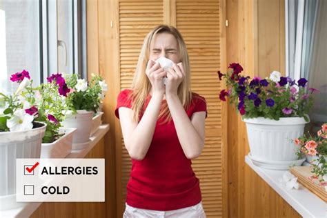 Allergies Vs Cold Heres How To Tell The Difference Readers Digest