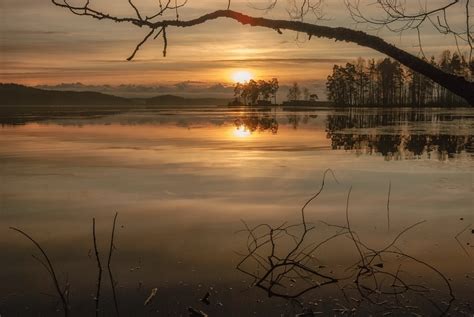 Осень прозрачное утро Много фото treepics ru