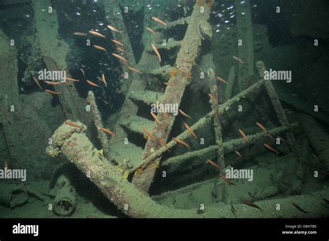 Ship Wreck Dive Fotos Und Bildmaterial In Hoher Aufl Sung Alamy