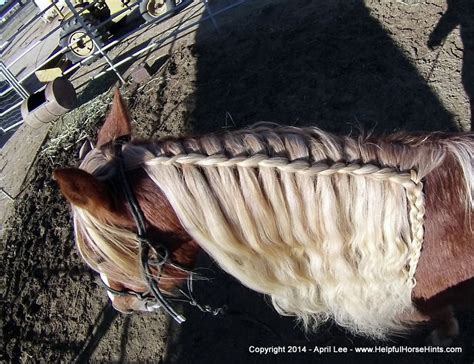 Horse Mane Braids | Helpful Horse Hints