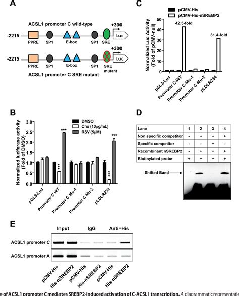 Figure From Srebp Activation Induces Hepatic Long Chain Acyl Coa