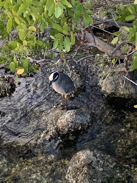 Punta Gorda Vacation Rentals, Florida: house rentals & more | Vrbo