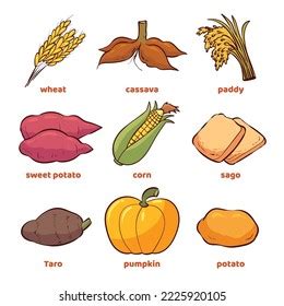 Illustration Various Types Staple Foods These Stock Vector (Royalty Free) 2225920105 | Shutterstock