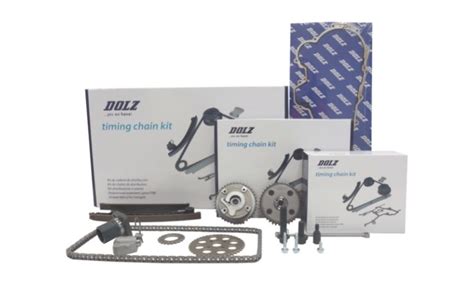 Timing Chain Replacement When Its Necessary Industrias Dolz