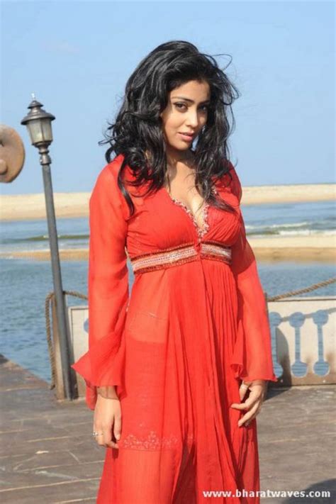 Bali Visit Shriya Bikini Hot Wallpaper