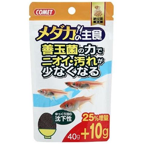 イトスイ コメット めだかの餌 メダカの主食 納豆菌 40g 2390108 4971453054277 Cocoatta 通販