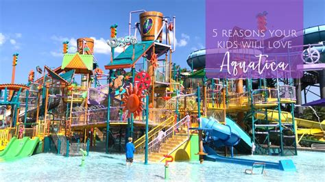 Aquatica Waterpark Orlando - Jacksonville Beach Moms