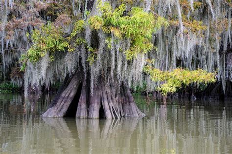 Swamp tour | Reiner's Travel Photography