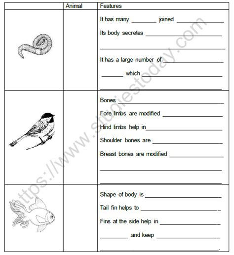 Grade 6 Body Movements Worksheet