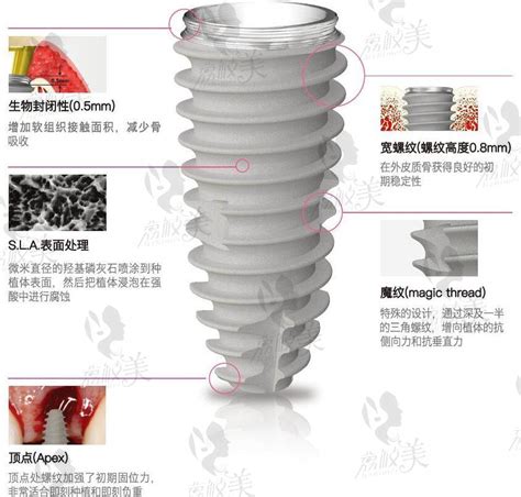 上海博义口腔门诊部怎么样？想问地址在宝山区场北路多少号荔枝美