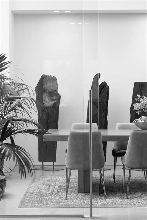 collection omnibus design