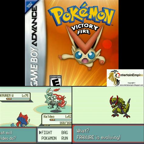 Pokemon X Rom Download Pokemon Y Rom Download