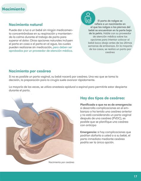 Guía descargable para nuevos padres| Pampers
