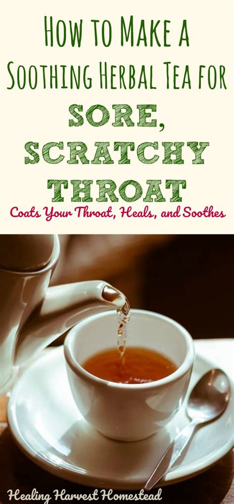 Throat Soothing Tea Here Is A Simple Effective Recipe For A Sore