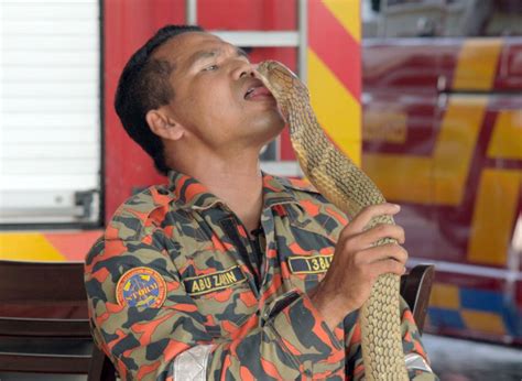 Famous Snake Whisperer Dies After A Cobra Bite