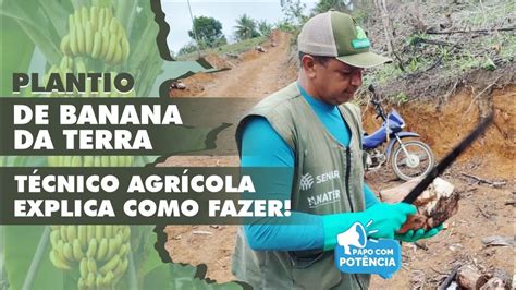 Plantio De Banana Da Terra T Cnico Agr Cola Explica Como Fazer Youtube