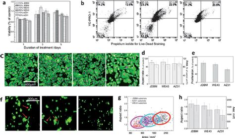 Cytotoxicity And Cytocompatibility Tests In Vitro On Human Endothelial