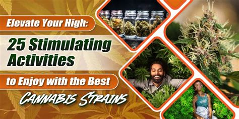 Elevate Your High 25 Stimulating Activities To Enjoy With The Best Cannabis Strains Sunwest