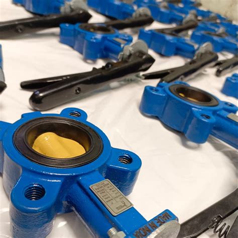 Wafer Type Ci Butterfly Valves To X Pn Pn At Rs