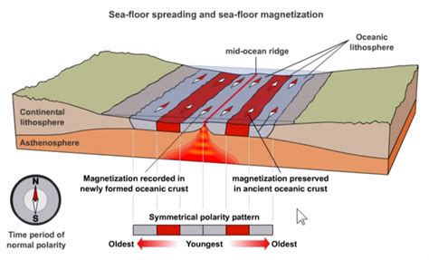 The Seafloor Magnetic Pattern Is Best Described as: