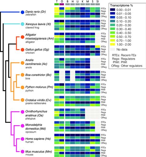 Expression Levels Of Recent Tes And Their Negative Regulatory