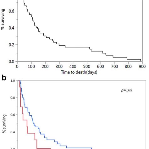 A KaplanMeier Curve Depicting Overall Survival B KaplanMeier Curve