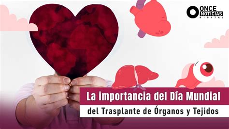 Día mundial de transplante de organos y tejidos YouTube