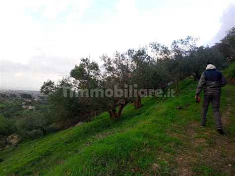 Terreno Agricolo Contrada Fraginesi Castellammare Del Golfo Rif