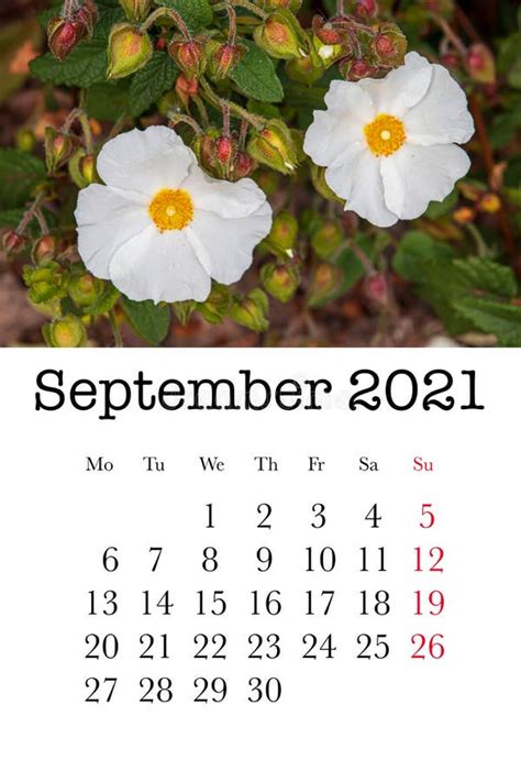 September 2021 Calendar Card Printable Pattern For Children Stock