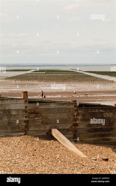 Whitstable, Kent, harbour and beach Stock Photo - Alamy