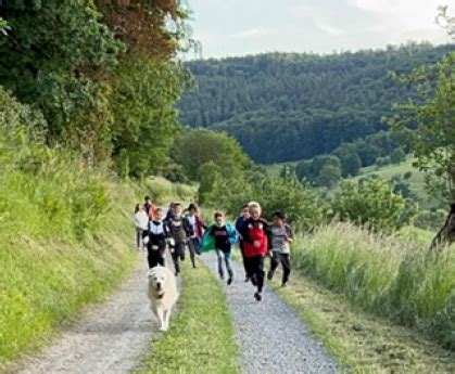 Maria Stern Schule Marienverein Würzburg e V Begleithundkonzept