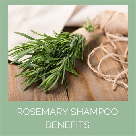 Why Rosemary Shampoo? - Benefits of Rosemary for the Hair and Skin - Odylique