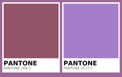 Color Pantone 208 U Vs Pantone 2577 C Side By Side