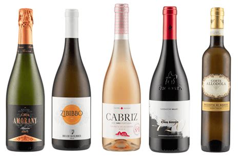 Best wine buys at Lidl this summer - Decanter