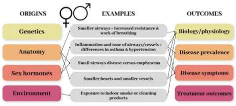 Origins Of Sex And Gender Differences The University Of Auckland