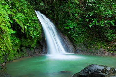 Guadeloupe Nationalpark / Guadeloupe National Park (Basse-Terre ...