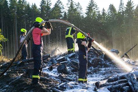 große Trockenheit birgt aktuell eine hohe Waldbrandgefahr