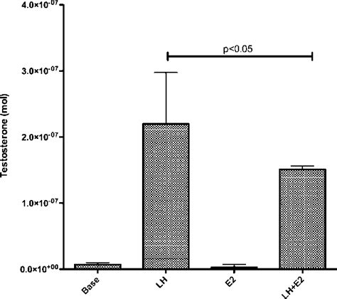 Testosterone Production By Isolated Leydig Cells Is Negatively Affected