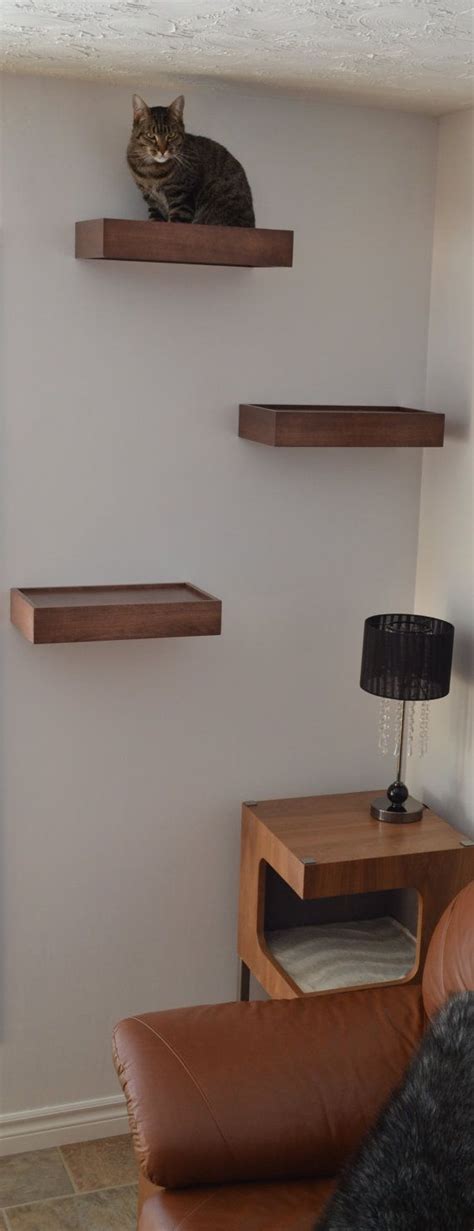 Diy Cat Shelves Ideas Awesome Diy Cat Shelves Diy Cat Shelves Cat