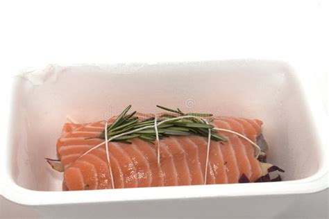 Bain Recyclable Avec Le Pain De Viande De Saumon De Poissons Image