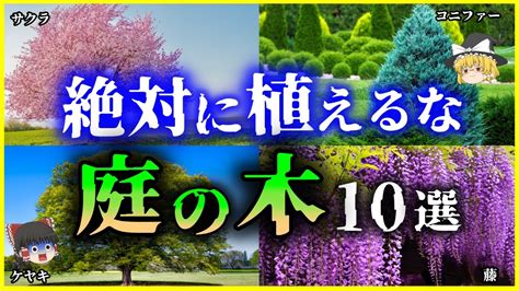 【ゆっくり解説】家を破壊⁉縁起が悪い⁉絶対に植えてはいけない「庭木」10選を解説 Youtube